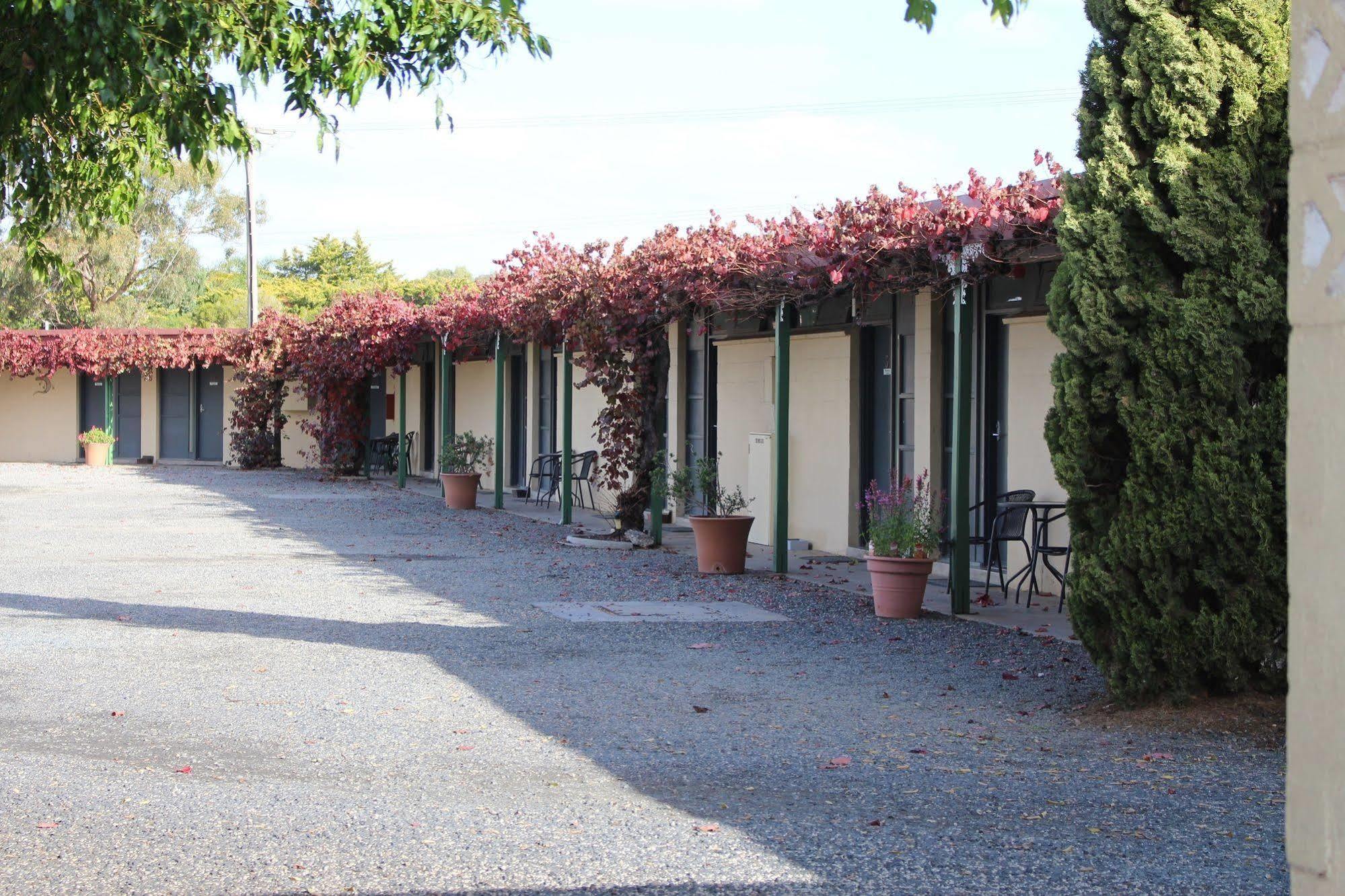 Motel Colonial Motor 3*